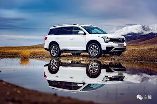 汽车地毯公差标准多少 汽车地毯公差标准多少