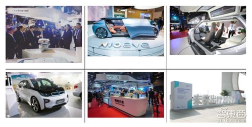 汽车人共有多少成员