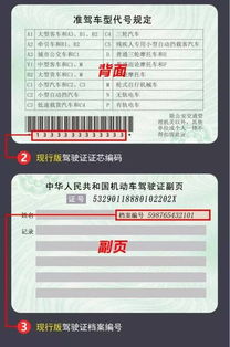 汽车罚款多少天缴费