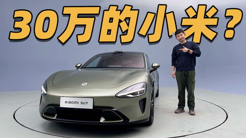 小米汽车要卖多少量