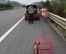 宁夏汽车抛锚多少费用 宁夏汽车抛锚多少费用