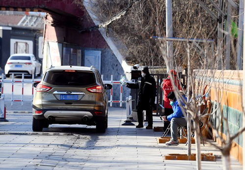 农村有多少辆汽车