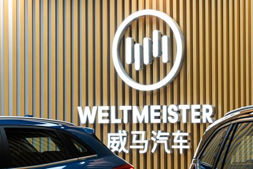 威马汽车租金多少