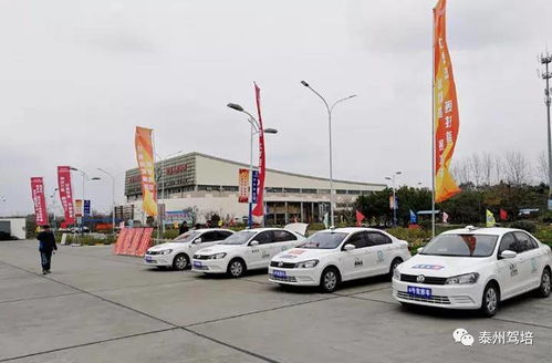 扬州汽车教练有多少