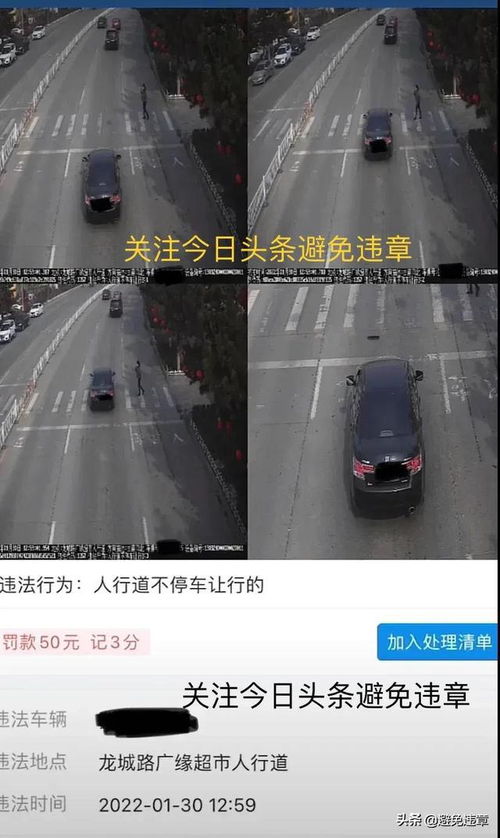 秦皇岛汽车违章不能多少 秦皇岛汽车违章不能多少