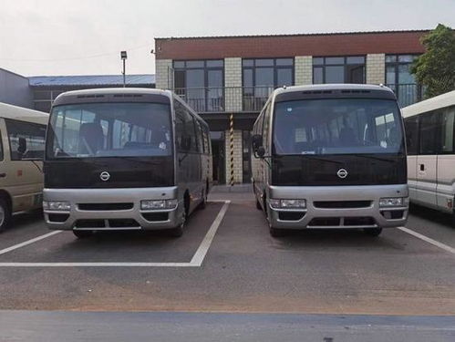 大型客运汽车排量多少