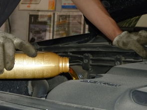 汽车每天排放多少汽油