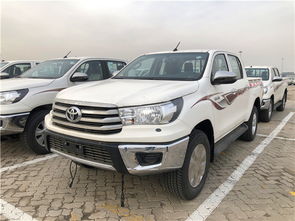 汽车海洋多少钱