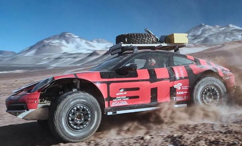 汽车火山泥价格多少