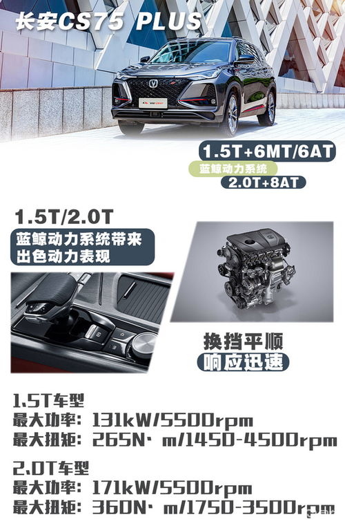 汽车入多少万保险 汽车入多少万保险