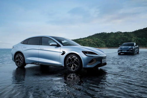 海豹汽车零百加速多少