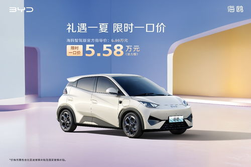 海欧汽车多少价格