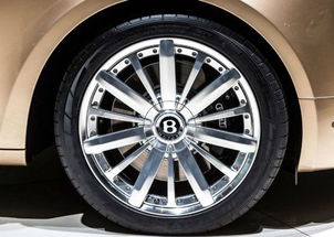 汽车最多有多少车轮