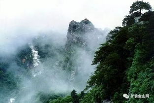 庐山汽车门票多少