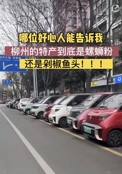 汽车里多少是电车