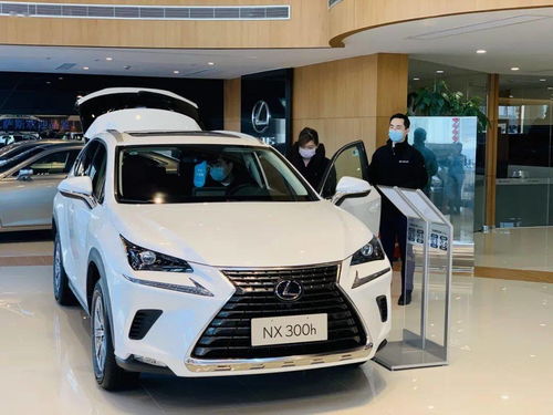 舟山汽车政府补贴多少