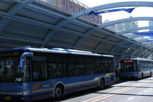 厦门brt汽车单价多少