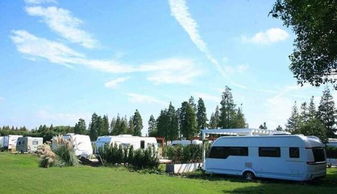 上海有多少汽车营地