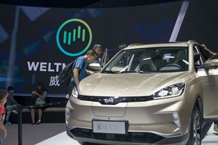 威马汽车融资多少