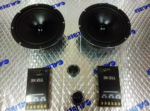 雷诺汽车线圈电压多少