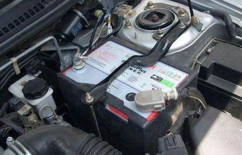 汽油汽车有多少电池 汽油汽车有多少电池