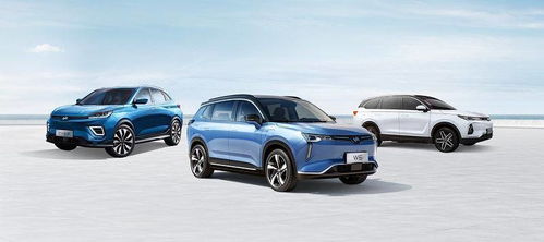 威马汽车多少价