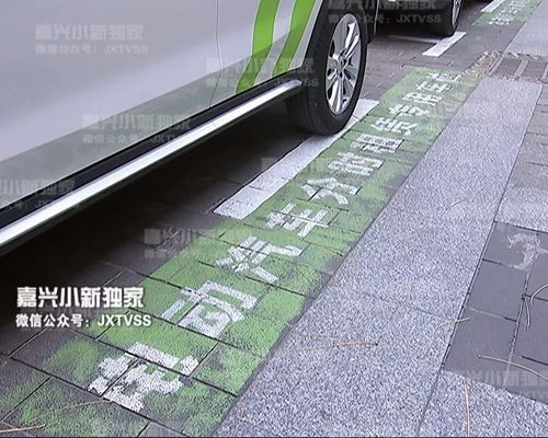 嘉兴共享汽车用户多少