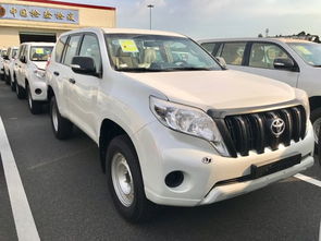 丰田霸道汽车多少油耗