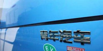 青年汽车拿到多少补贴