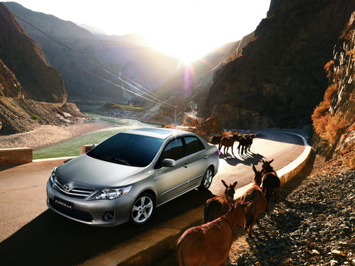 东莞现有多少辆汽车