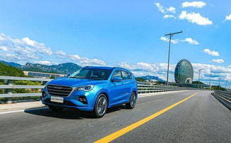 领跑汽车要多少块钱