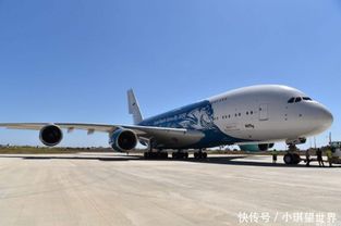 飞机汽车杭州造价多少