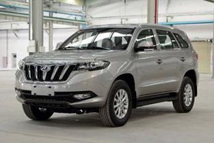 福迪汽车多少元 福迪汽车多少元