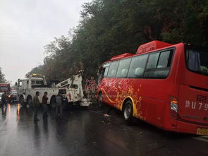 济源有多少辆汽车