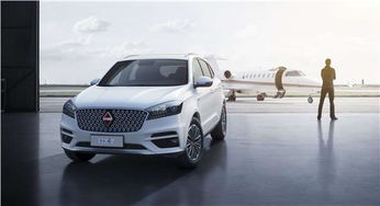 汽车解押多少天生效