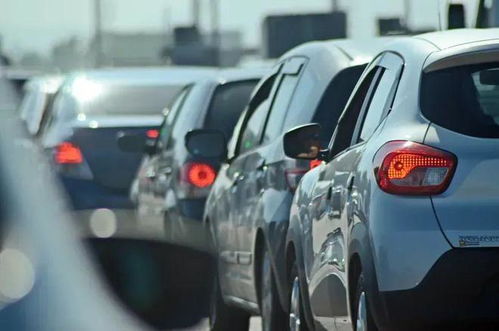 合肥汽车多少量上牌