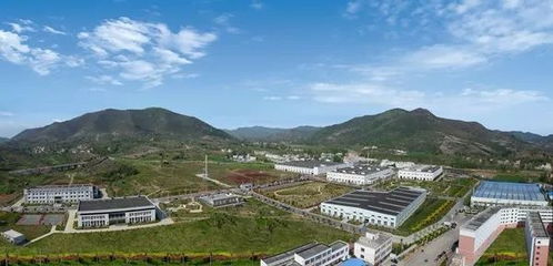 南阳汽车减振器价格多少 南阳汽车减振器价格多少