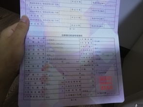 汽车续保员工资多少