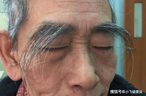 汽车黑板长多少米