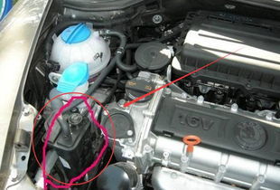 汽车油门最大开多少 汽车油门最大开多少