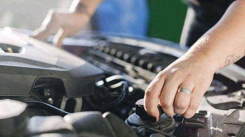 汽车首保费用多少