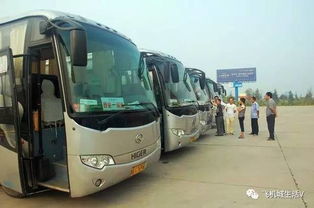 阎良有多少汽车