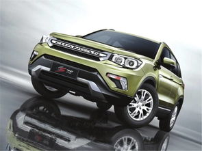 领跑汽车收入多少亿