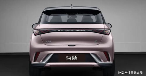 比亚迪汽车海豚流量多少