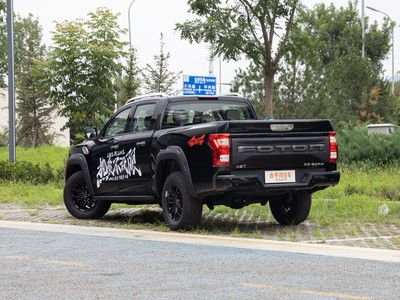 火星汽车多少钱