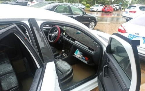 郑州汽车坏了多少辆 郑州汽车坏了多少辆