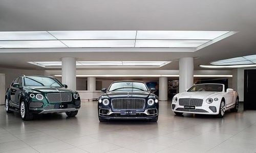 飞驰汽车营业收入多少 飞驰汽车营业收入多少