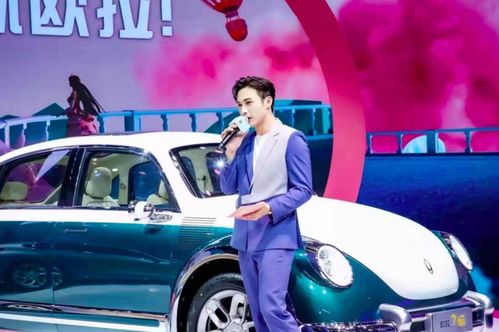 陈丹汽车号多少 陈丹汽车号多少