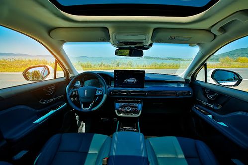 林肯汽车放置多少天