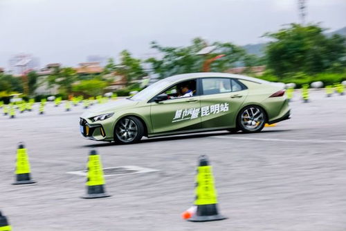 亚洲豹汽车多少元